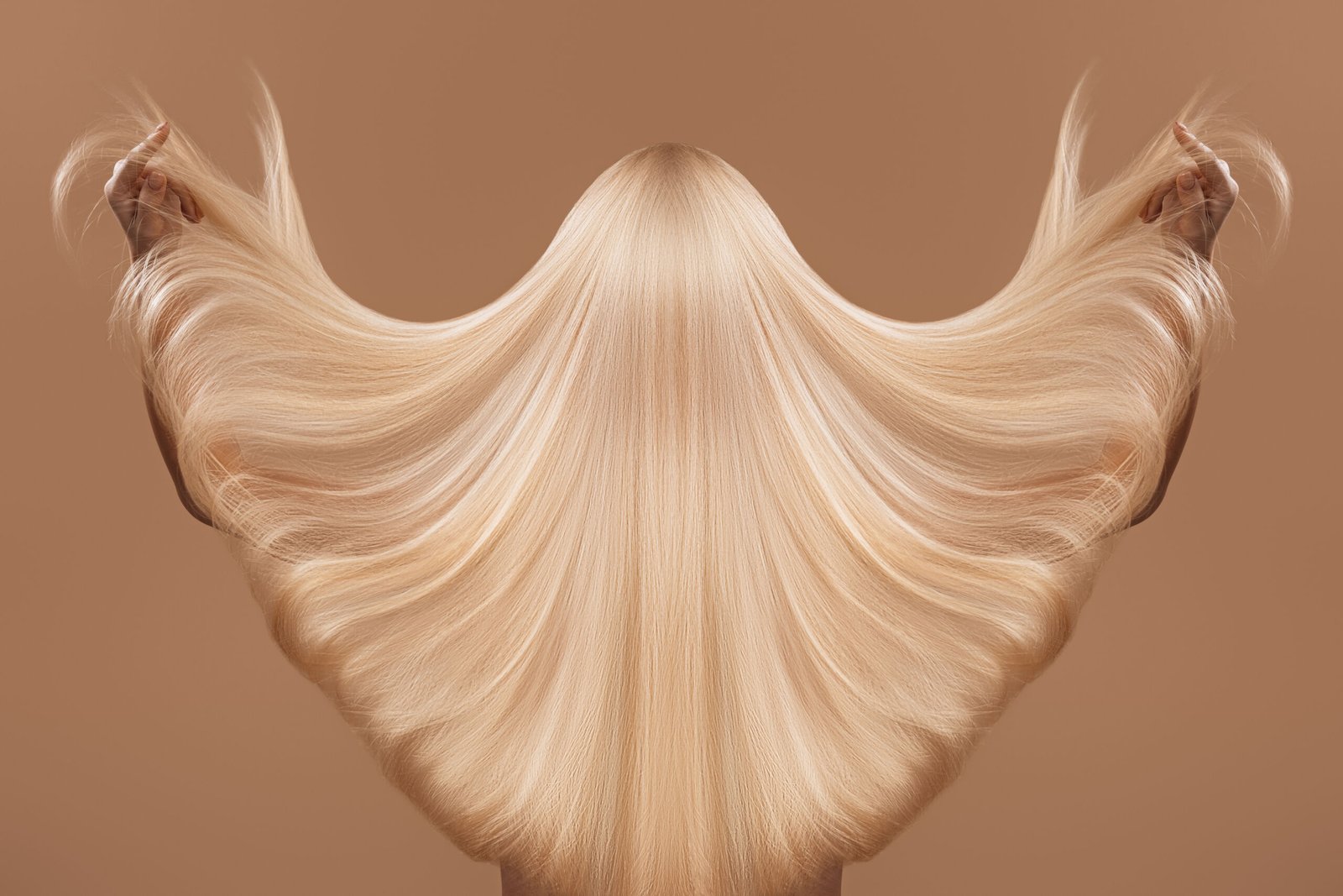 back view of woman with long blond hair, isolated on brown, haircare concept